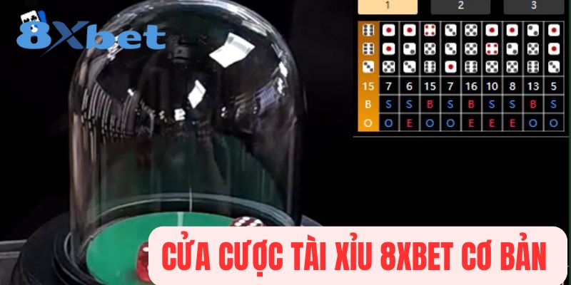 Tài xỉu tại 8xbet phổ biến với nhiều cửa cược
